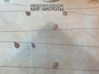 Клининговые услуги, Владивосток