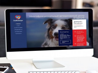 Разработка сайтов, Приморский край