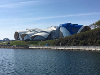 Аренда катера, рыбалка, прогулки по островам, Владивосток