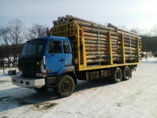 Тягач Nissan Diesel, Владивосток