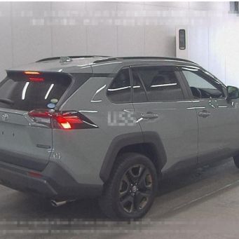 Авто из Японии за 4-6 недель TOYOTA RAV4 2019, Владивосток